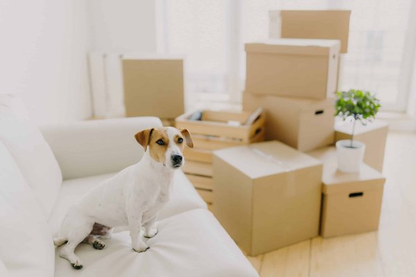 What Are the Best Shoe Inserts for Enhancing Comfort in Stilettos During Long Workdays?